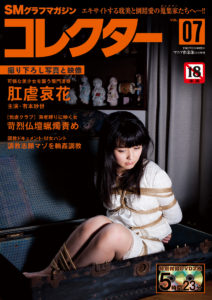 コレクター07hyou1