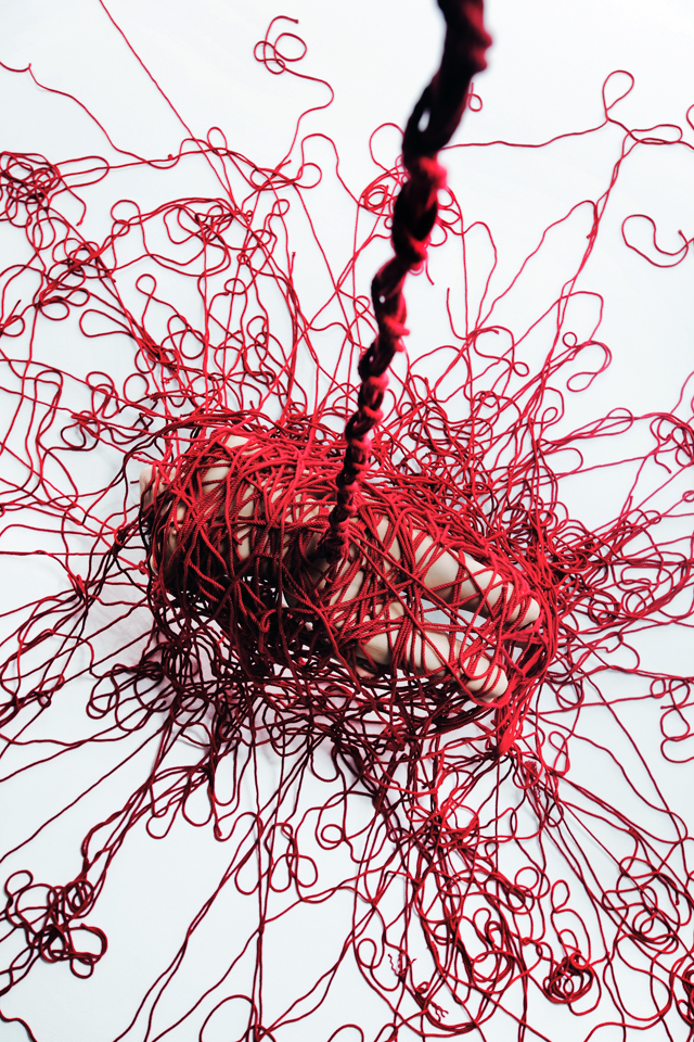 _MG_8582 のコピー